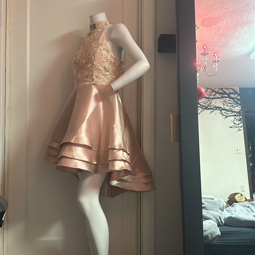 NWT Le Chateau high low fit flare blush pink embroidered mesh satin skater dress